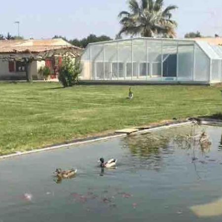 Appartement A 10Km De La Grande Motte, Palavas... Lunel  Zewnętrze zdjęcie